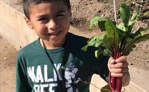 Bryant Students Get Hands-On Agriculture Lesson during Centennial Farm Field Trip - article thumnail image